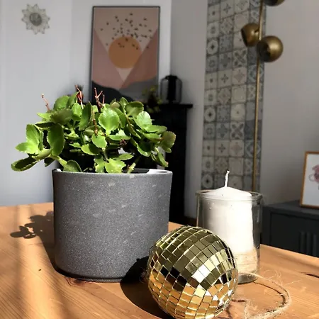 Coeur De Centre サブレ・シュル・サルト